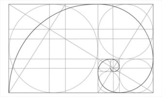 dourado Razão modelo. logarítmico espiral dentro retângulo com círculos e cruzando linhas. nautilus Concha forma. Fibonacci seqüência. ideal simetria proporções rede vetor