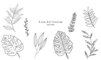 conjunto do tropical folhas linha arte vetor