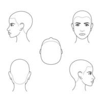 isolado vetor Preto e branco fêmea cabeças dentro diferente projeções. face e cabelo crescimento linha