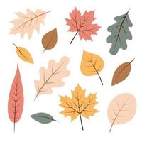 outono folhas definir, isolado em branco fundo. outono folha Projeto elementos vetor