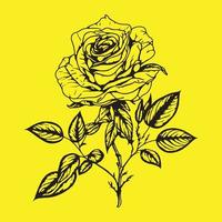 Alto detalhado rosa flor Preto esboço vetor ilustração isolado em amarelo fundo, rosa mão desenhando esboço.