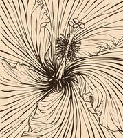 fundo hibisco flor vetor ilustração com linha arte