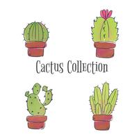 Cute Cactus Set Coleção vetor