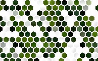 capa de vetor verde claro com conjunto de hexágonos.