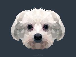 Retrato abstrato do cão maltês no projeto poli Low Vector