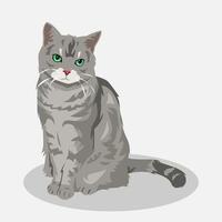 fofa gato desenho animado ilustração. cinzento gato. cheio corpo. bicho de estimação, animal. para imprimir, adesivo, poster, e mais. vetor