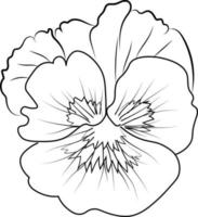 fofa crianças coloração Páginas, fácil amor-perfeito flor desenho, amor-perfeito flor Preto e branco ilustração, amor-perfeito flor contorno, amor-perfeito flor vetor arte, simples flor desenho.