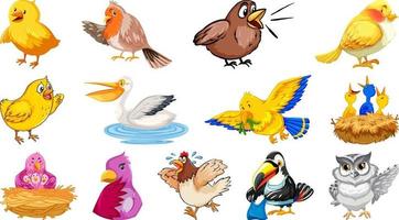 conjunto de diferentes estilos de desenho de pássaros isolado no fundo branco vetor