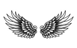 livre vetor anjo asas ilustração Projeto