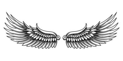 livre vetor anjo asas ilustração Projeto