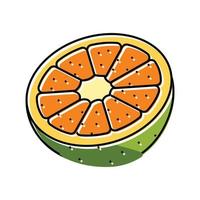 tangerina corte de laranja cor ícone vetor ilustração