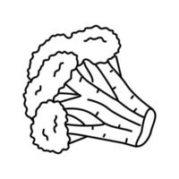 brócolis repolho linha ícone vetor ilustração