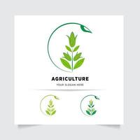 plano emblema logotipo Projeto para agricultura com a conceito do verde folhas vetor. verde natureza logotipo usava para agrícola sistemas, agricultores, e plantação produtos. logotipo modelo. vetor