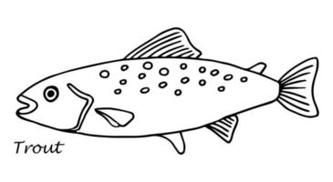 vetor esboço ilustração do fresco truta mar peixe desenhando isolado em branco. gravado estilo. natural negócios. vintage, retro objeto para cardápio, rótulo, receita, produtos embalagem