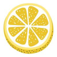 limão fatia Projeto vetor