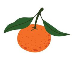 ilustração de fruta laranja vetor