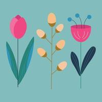 conjunto do Primavera flores, tulipa, floração salgueiro galhos, salgueiro amentilhos. vetor