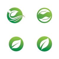 logotipos da ecologia de folhas verdes vetor