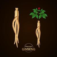 Prêmio ginseng vetor ilustração