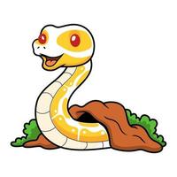fofa albino bola Pitão serpente desenho animado Fora a partir de orifício vetor