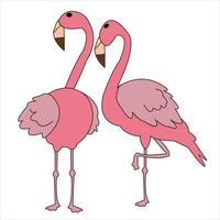 fofa vetor flamengo solteiro e com casal pássaro desenho animado ilustração arte.