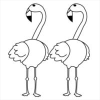 fofa vetor flamengo solteiro e com casal pássaro desenho animado ilustração arte.