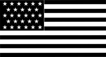 silhueta Unidos estados do América bandeira vetor