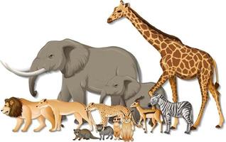 grupo de animais selvagens africanos em fundo branco vetor