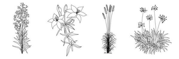 conjunto do esboço flores uma desenhando do uma plantar com flores e folhas. vetor ilustração
