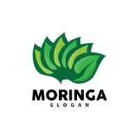 folha logotipo, eco verde plantar vetor, verde terra Cuidado reciclando projeto, moringa folha logotipo ícone modelo ilustração vetor