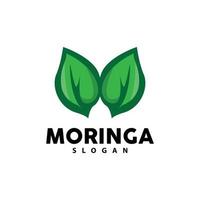 folha logotipo, eco verde plantar vetor, verde terra Cuidado reciclando projeto, moringa folha logotipo ícone modelo ilustração vetor