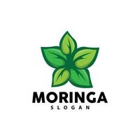 folha logotipo, eco verde plantar vetor, verde terra Cuidado reciclando projeto, moringa folha logotipo ícone modelo ilustração vetor