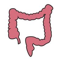 intestino simples ícone vetor