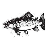 salmão graves peixe ícone isolado em branco fundo. logotipo Projeto elemento, rótulo, emblema, marca, marca marca vetor ilustração