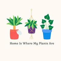 diferente desenho animado plantas com a inscrição casa é Onde meu plantas estão vetor