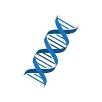 dna ícone, dna logotipo modelo vetor