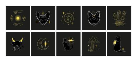 conjunto do Magia misterioso cartões, logotipos, imprime. Preto gato, mãos gestos, cristais, celestial símbolos. bruxa, esotérico, mago. vetor