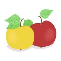 duas maçãs, maçã vermelha e amarela, frutas maduras suculentas, ilustração vetorial em estilo simples. vetor