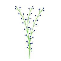 ramos verdes com bagas azuis, elemento de decoração floral, flor com pequenos botões azuis, decoração para buquês, objeto vetorial, ilustração em estilo simples. vetor