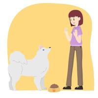 jovem mulher Treinamento samoiedo cachorro procriar para pacientemente esperando para tratar vetor