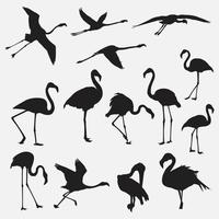 Conjunto de modelos de design de silhueta de pássaro flamingo vetor