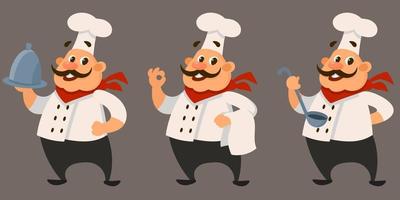 chef em poses diferentes. vetor