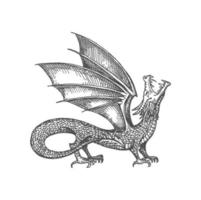 chinês horóscopo placa Dragão mítico animal ícone vetor