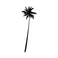 silhueta do uma coco árvore. conceito do ambiente, natureza, plantar, de praia. adequado para imprimir, poster, adesivo, e para de outros projetos. vetor ilustração.