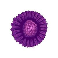 ilustração vetorial floral botânica flor ilustração roxo ornamento vetor