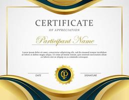 profissional certificado do apreciação para diploma ou curso ou melhor prêmio vetor