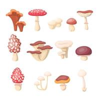 desenho animado diferente cogumelos ícones definir. vetor