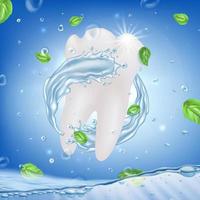 realista detalhado 3d branco saudável dente com água splash. vetor