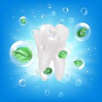 realista detalhado 3d branco saudável dente e bolhas com verde hortelã folhas. vetor