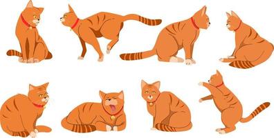 laranja fofa gato animal plano ilustração Projeto vetor